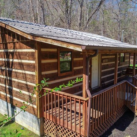 Creekside Memories Cabin Cosby Exteriör bild